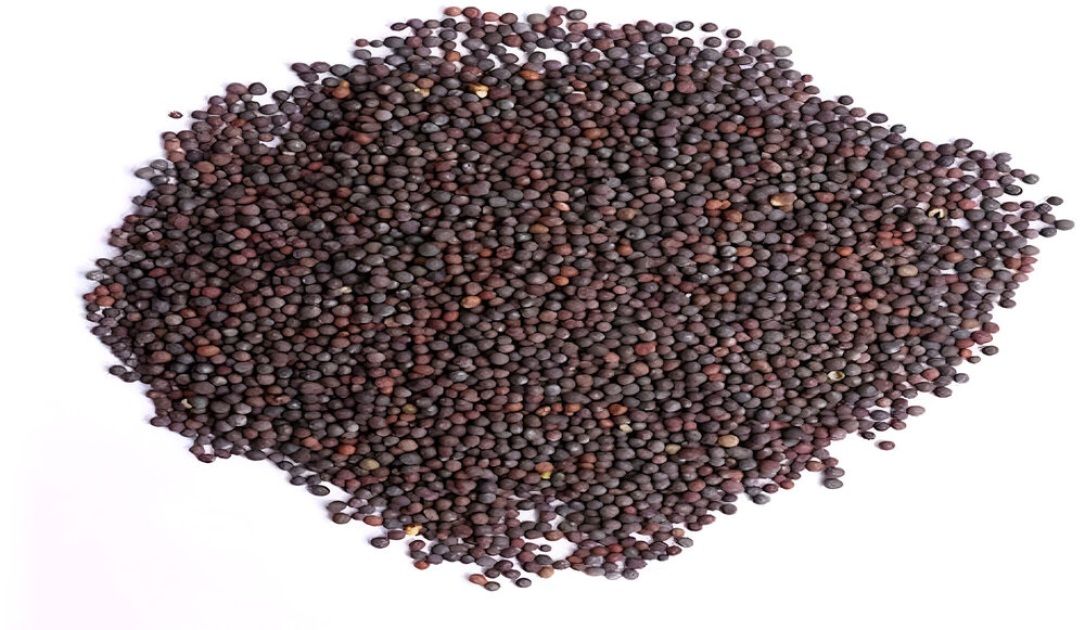 Mustared Seeds